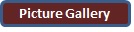 Picture Gallery